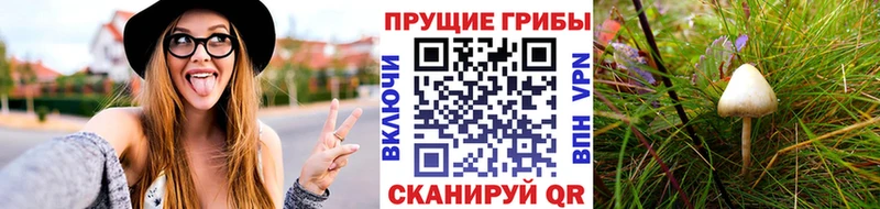Галлюциногенные грибы MAGIC MUSHROOMS  OMG ссылки  Буйнакск  где найти наркотики 