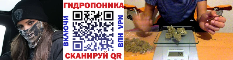 Конопля SATIVA & INDICA  Буйнакск 